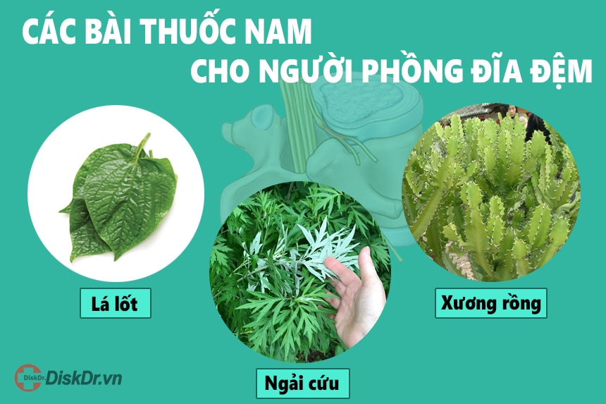 Các bài thuốc nam hiệu quả