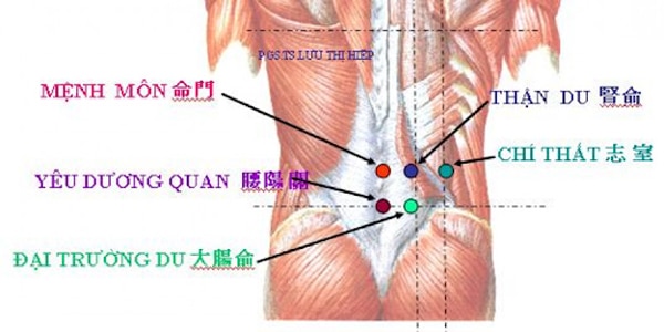 Các huyệt bấm để điều trị đau lưng