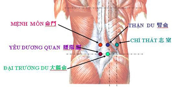 Điều trị đau lưng bằng bấm huyệt thận du