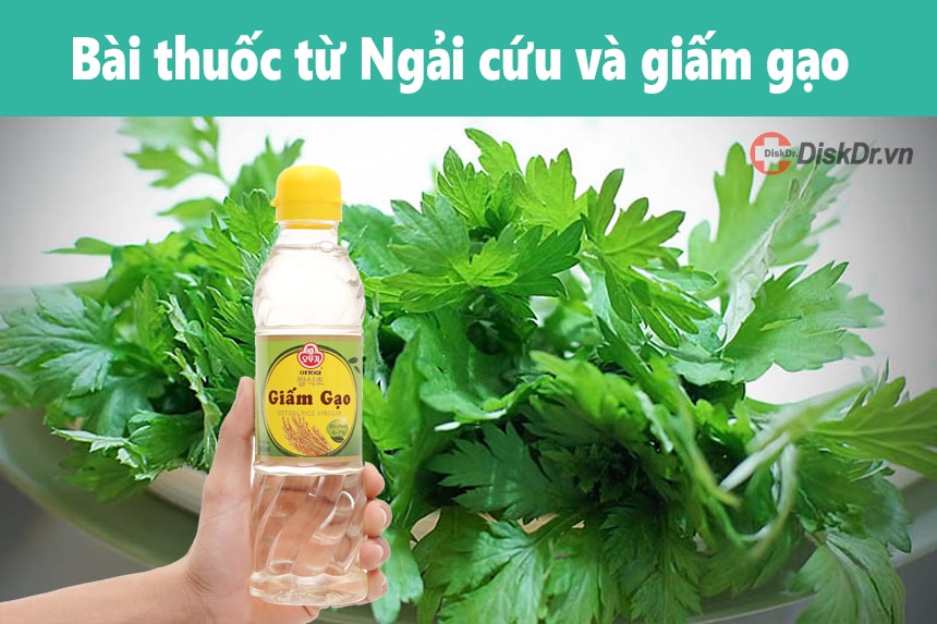 Bài thuốc từ Ngải cứu và giấm gạo