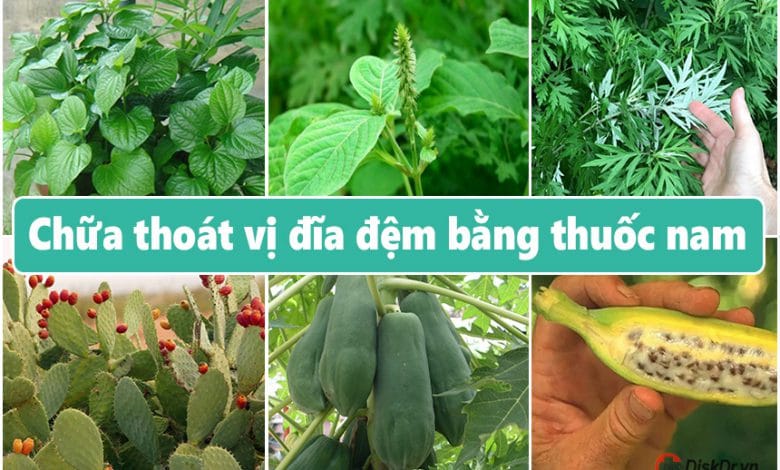 Chữa thoát vị đĩa đệm bằng thuốc nam
