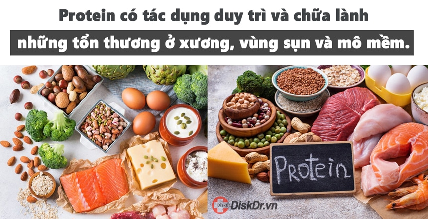 Tác dụng của protein đối với người thoát vị đĩa đệm