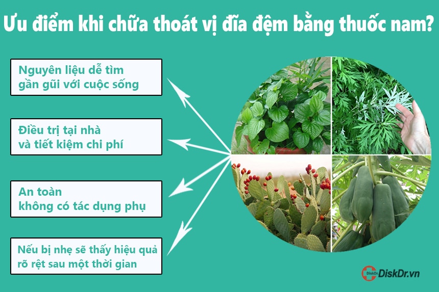 Ưu điểm khi chữa thoát vị đĩa đệm bằng thuốc nam?