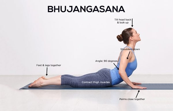 Các bài tập yoga mang đến hiệu quả cao cho hệ xương khớp