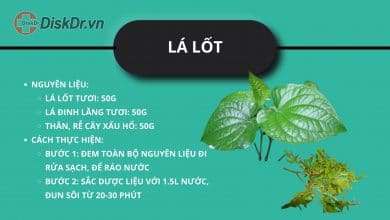 lá lốt chữa thoát vị đĩa đệm
