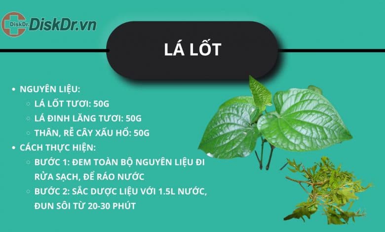 lá lốt chữa thoát vị đĩa đệm