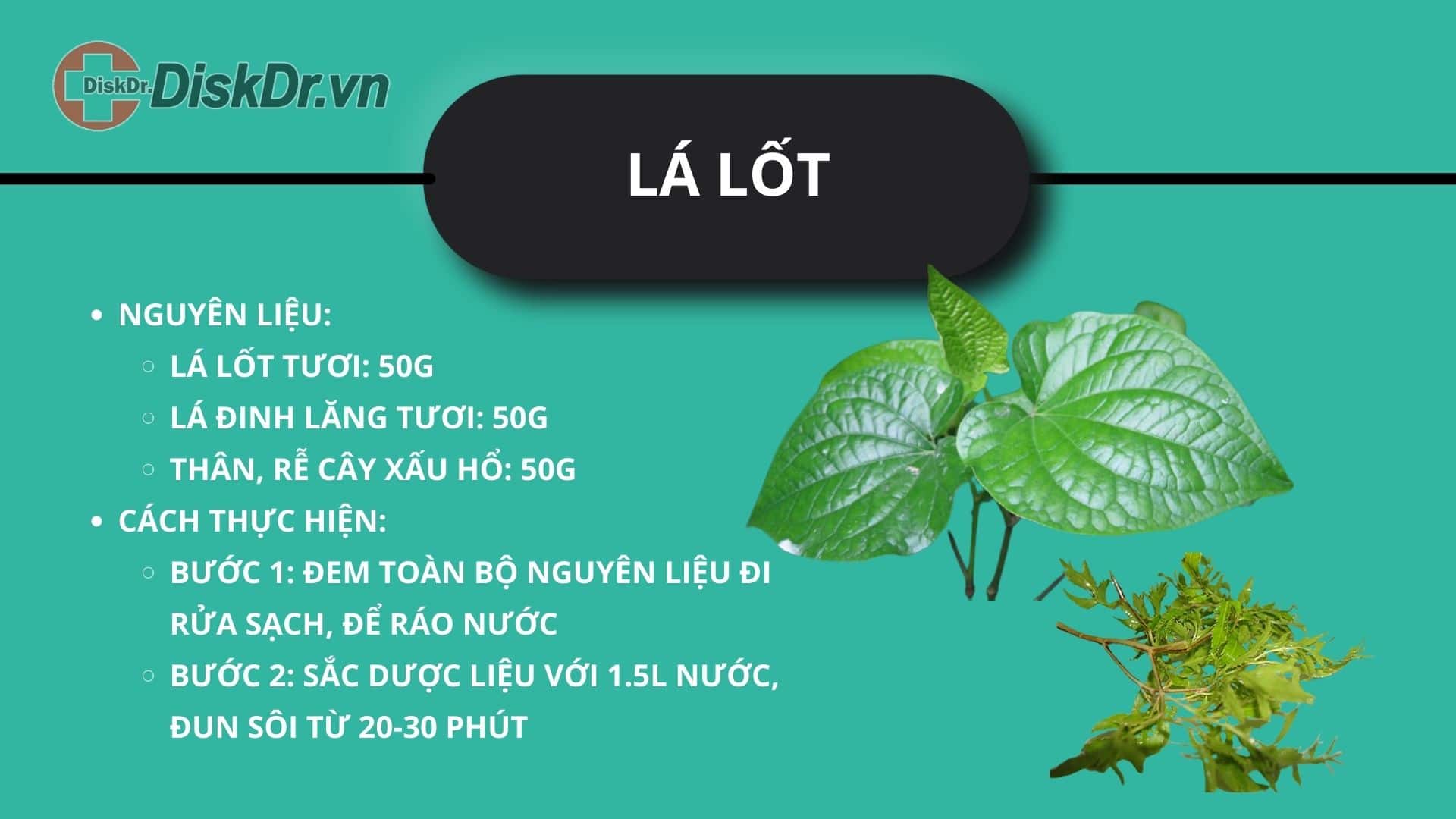 Chữa thoát vị đĩa đệm bằng lá lốt