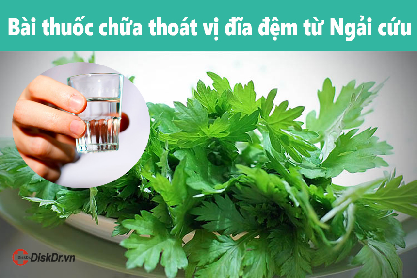 Bài thuốc từ ngải cứu và rượu trắng