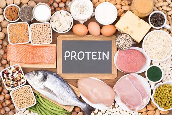 Thịt, cá, trứng, các loại đậu là nguồn thực phẩm giàu protein