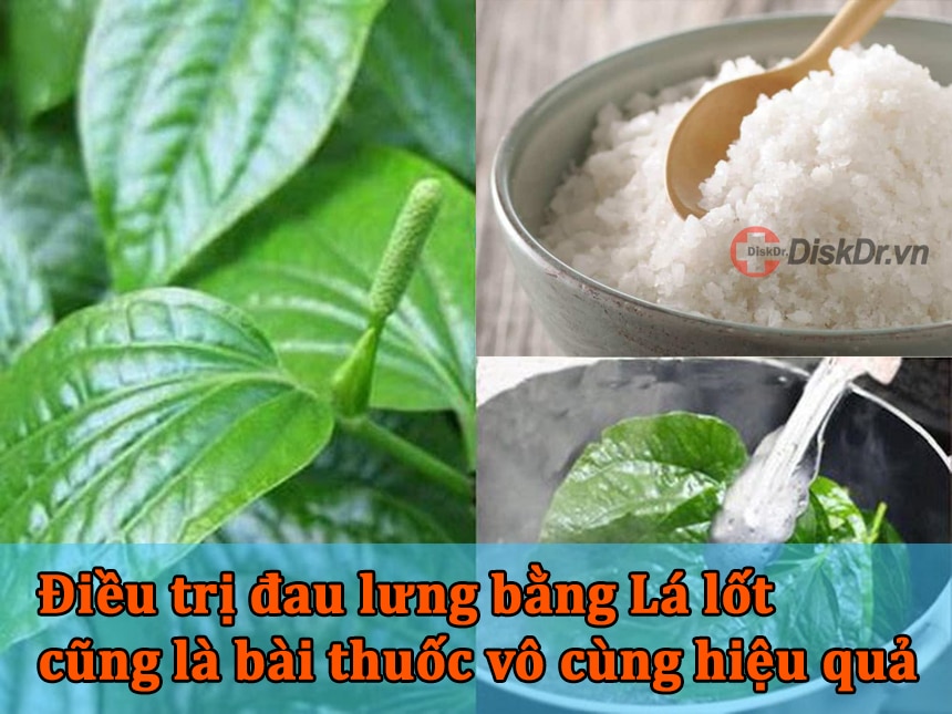 Điều trị đau lưng bằng lá lốt cũng là bài thuốc vô cùng hiệu quả