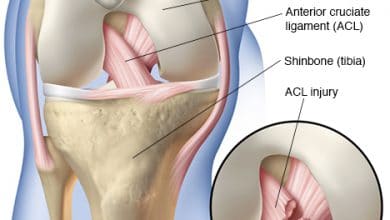 Vai trò quan trọng của dây chằng đầu gối