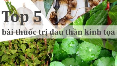 Top 5 bài thuốc trị đau thần kinh tọa hiệu quả nhất