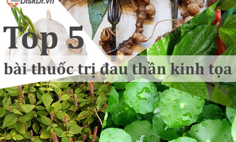 Top 5 bài thuốc trị đau thần kinh tọa hiệu quả nhất