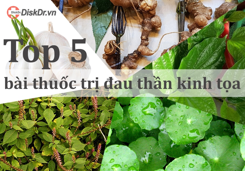 Top 5 bài thuốc trị đau thần kinh tọa hiệu quả nhất