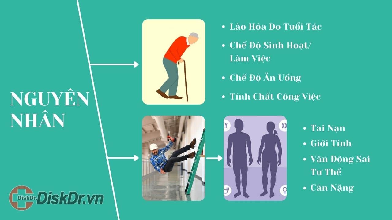 Nguyên nhân thoát vị đĩa đệm, thoái hóa cột sống, gai cột sống