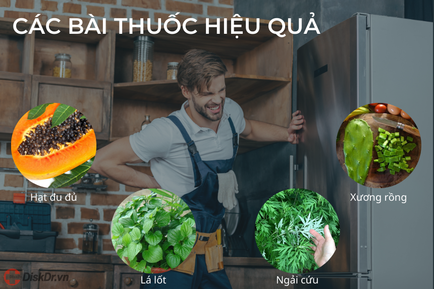 Các bài thuốc hiệu quả