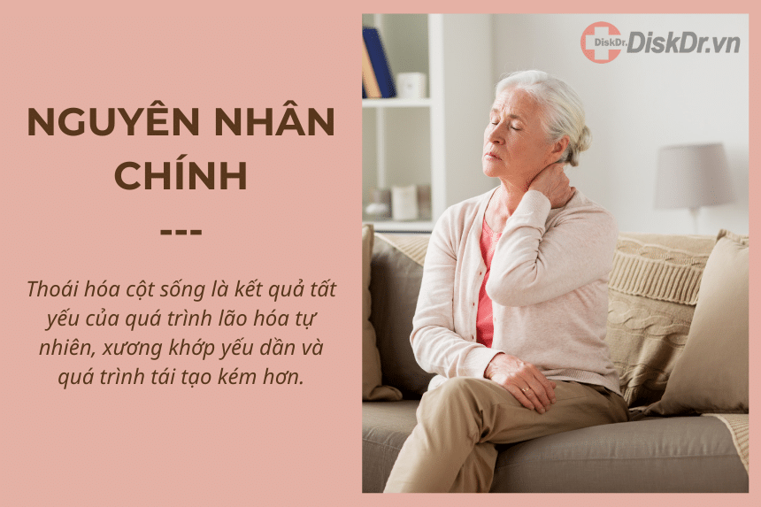 Nguyên nhân thoái hóa cột sống