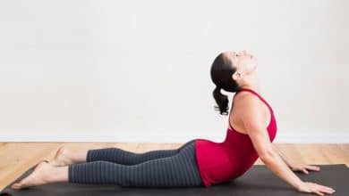 Bài tập Yoga rắn hổ mang