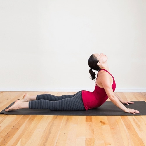 Bài tập Yoga rắn hổ mang