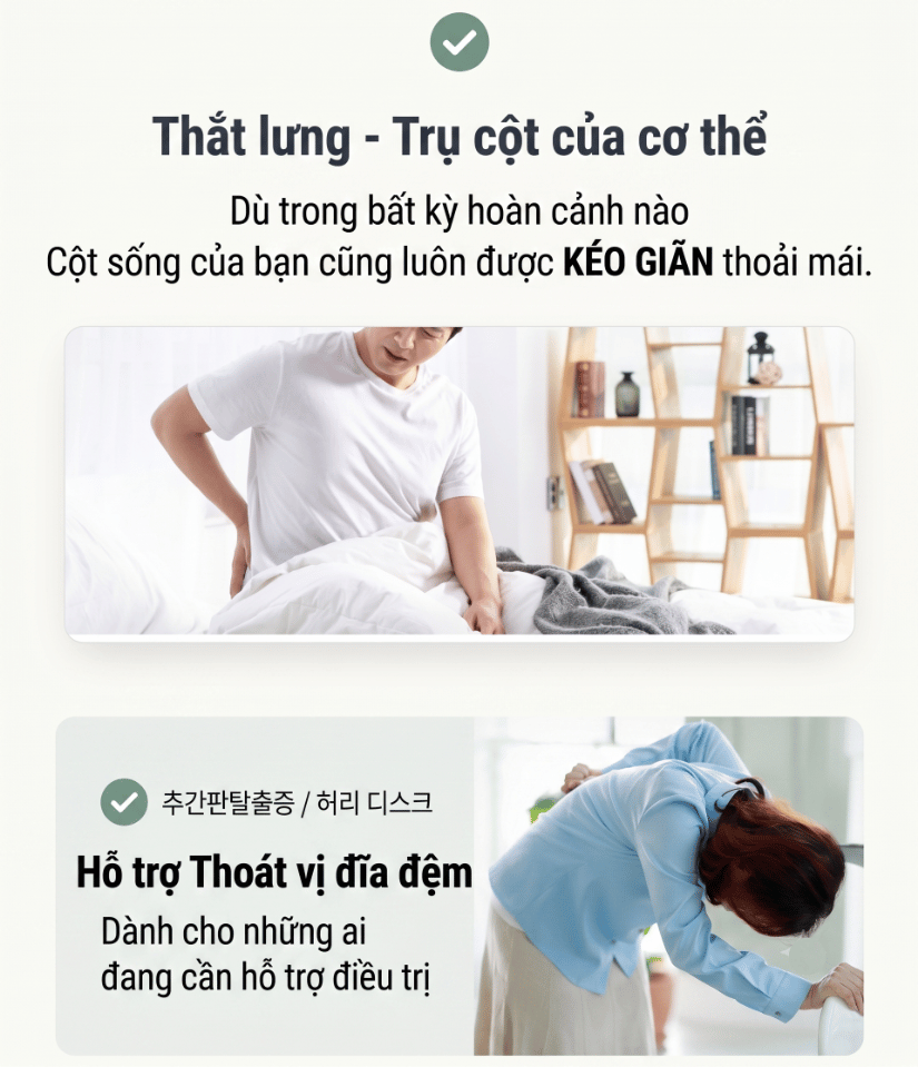 Thắt lưng trụ cột của cơ thể được bảo vệ với DiskDr WD57P